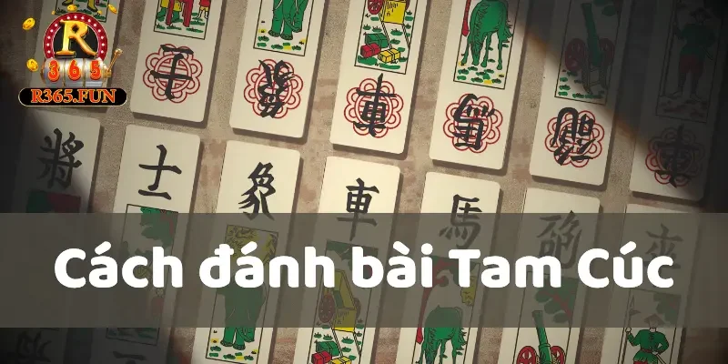 Cách đánh bài Tam Cúc - Cách chơi chi tiết, đơn giản nhất 1 cách đánh bài Tam Cúc